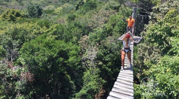Arvorismo e Tirolesa